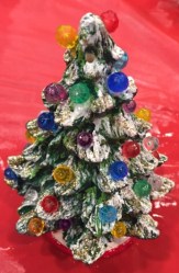 Park Vista Tree closeup